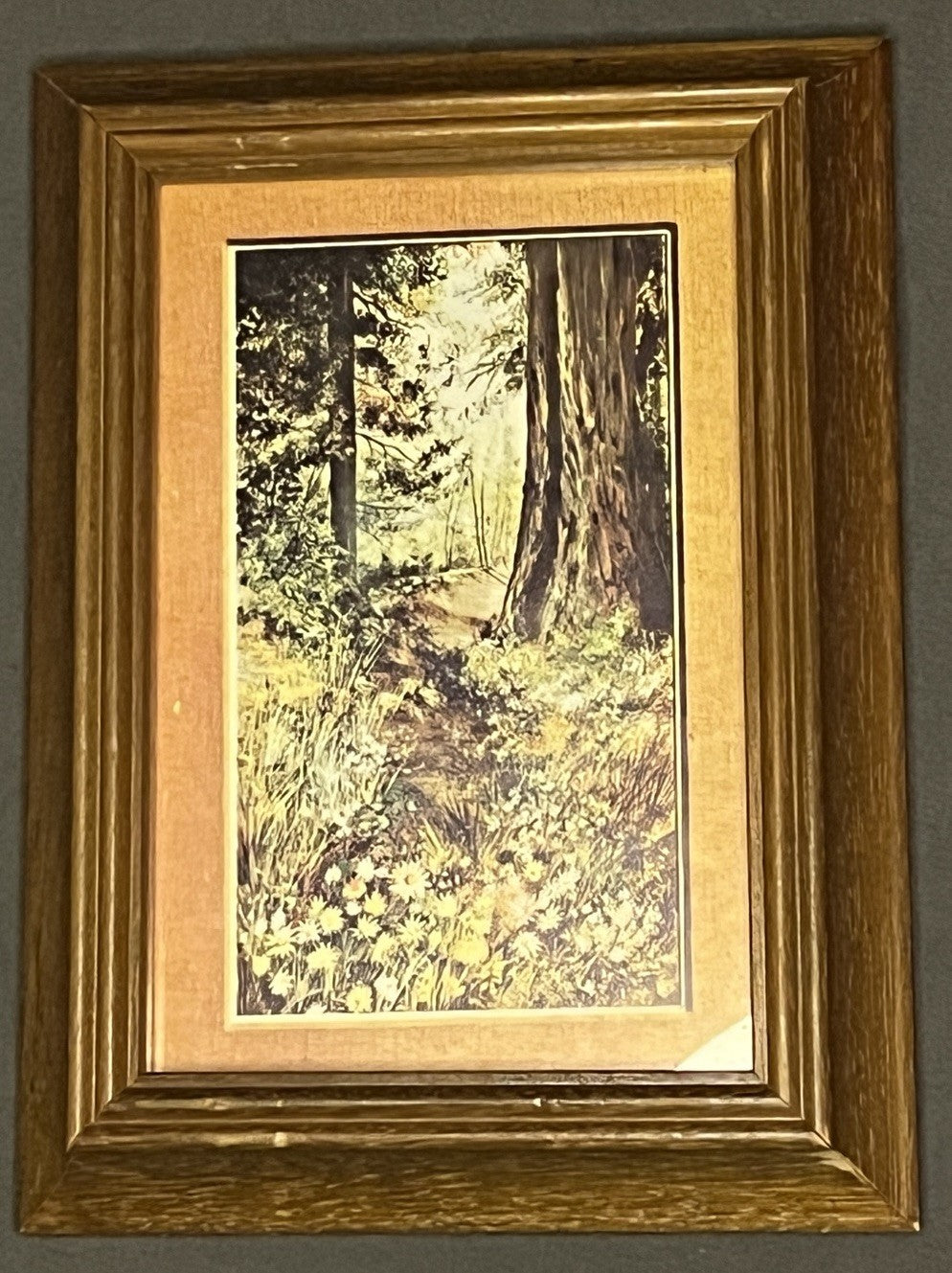 Vintage McM Framed Landscape Art Set • Wildflower Field & Forest Scene