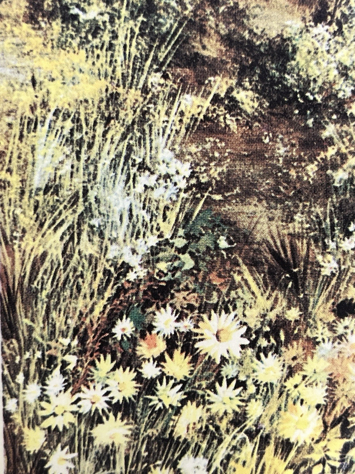 Vintage McM Framed Landscape Art Set • Wildflower Field & Forest Scene