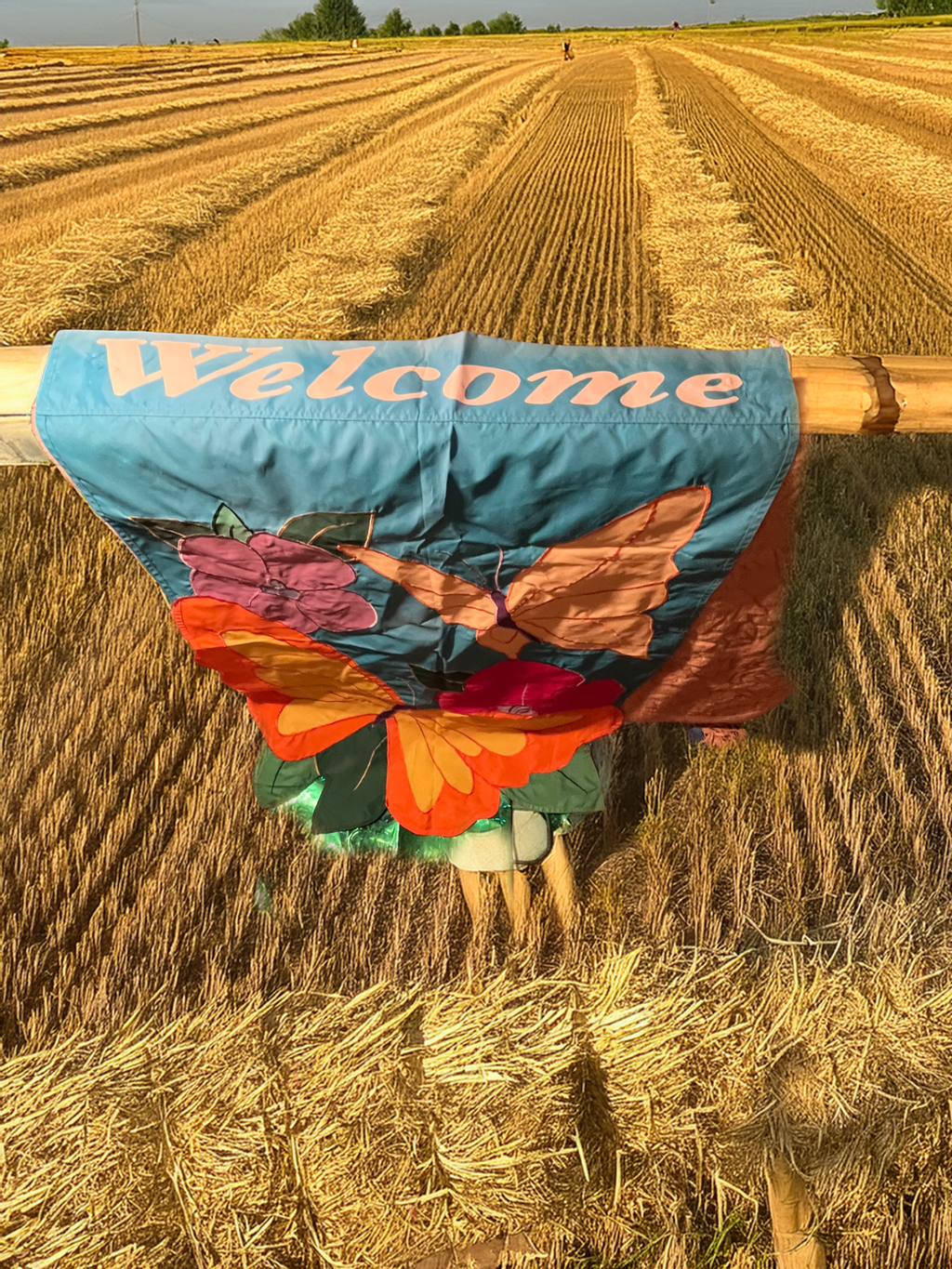 Large Butterfly Flower Welcome Decorative House Flag Polyester 42X29 Doubleside