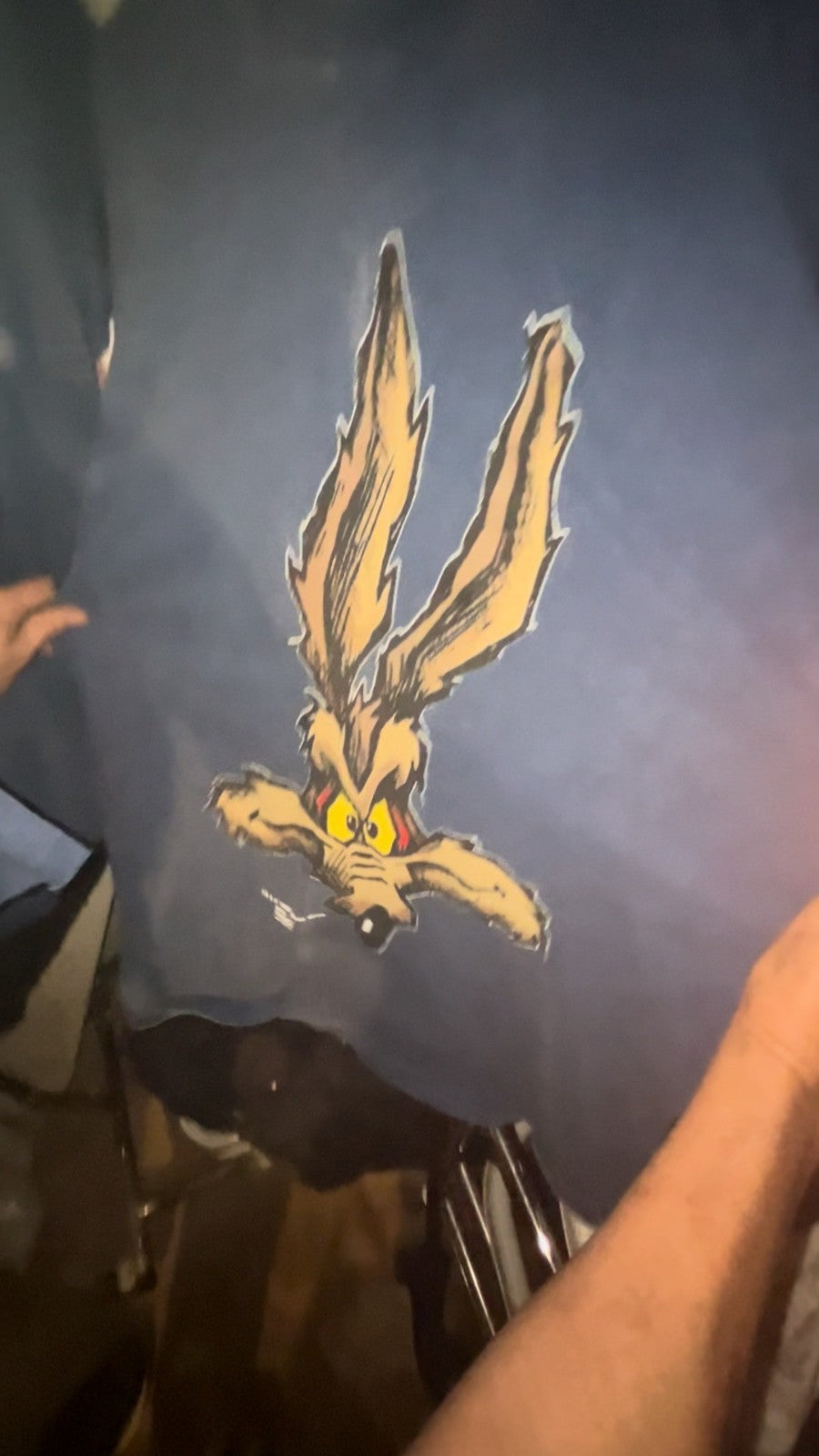VINTAGE 90s Wile E Coyote Looney Tunes T-Shirt Double Sided Big Face Grunge