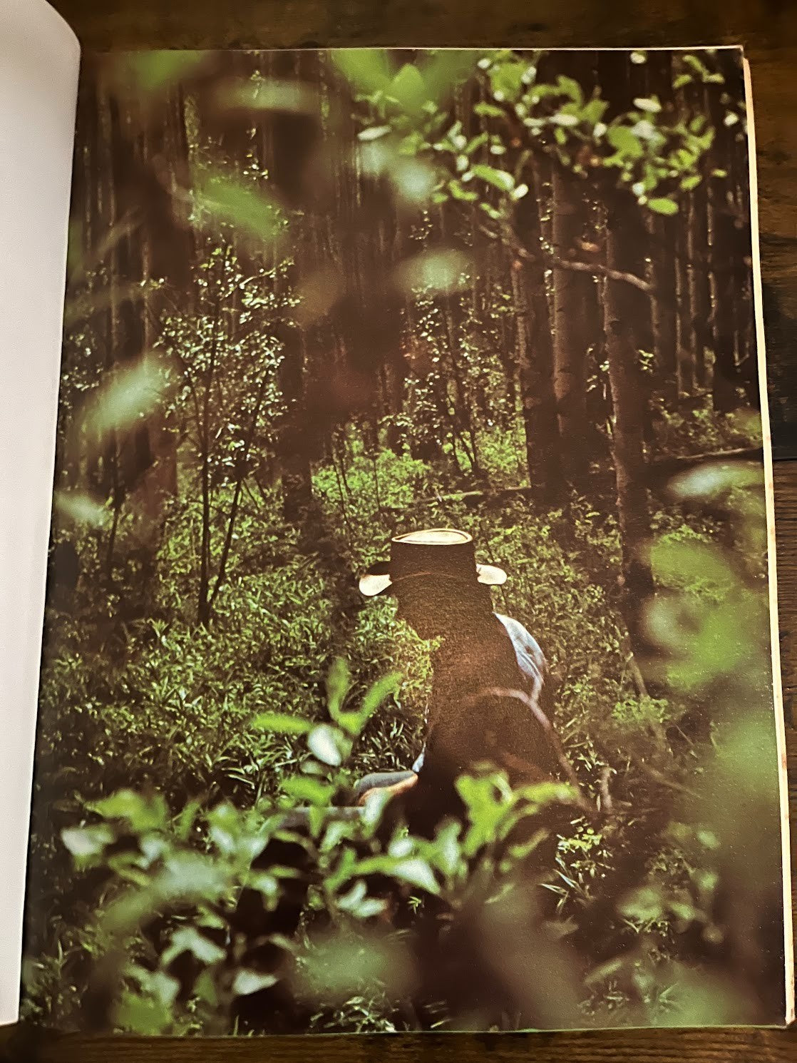 John Denver Farewell Andromeda Songbook (Cherry Lane Music 1973) Rare Vintage