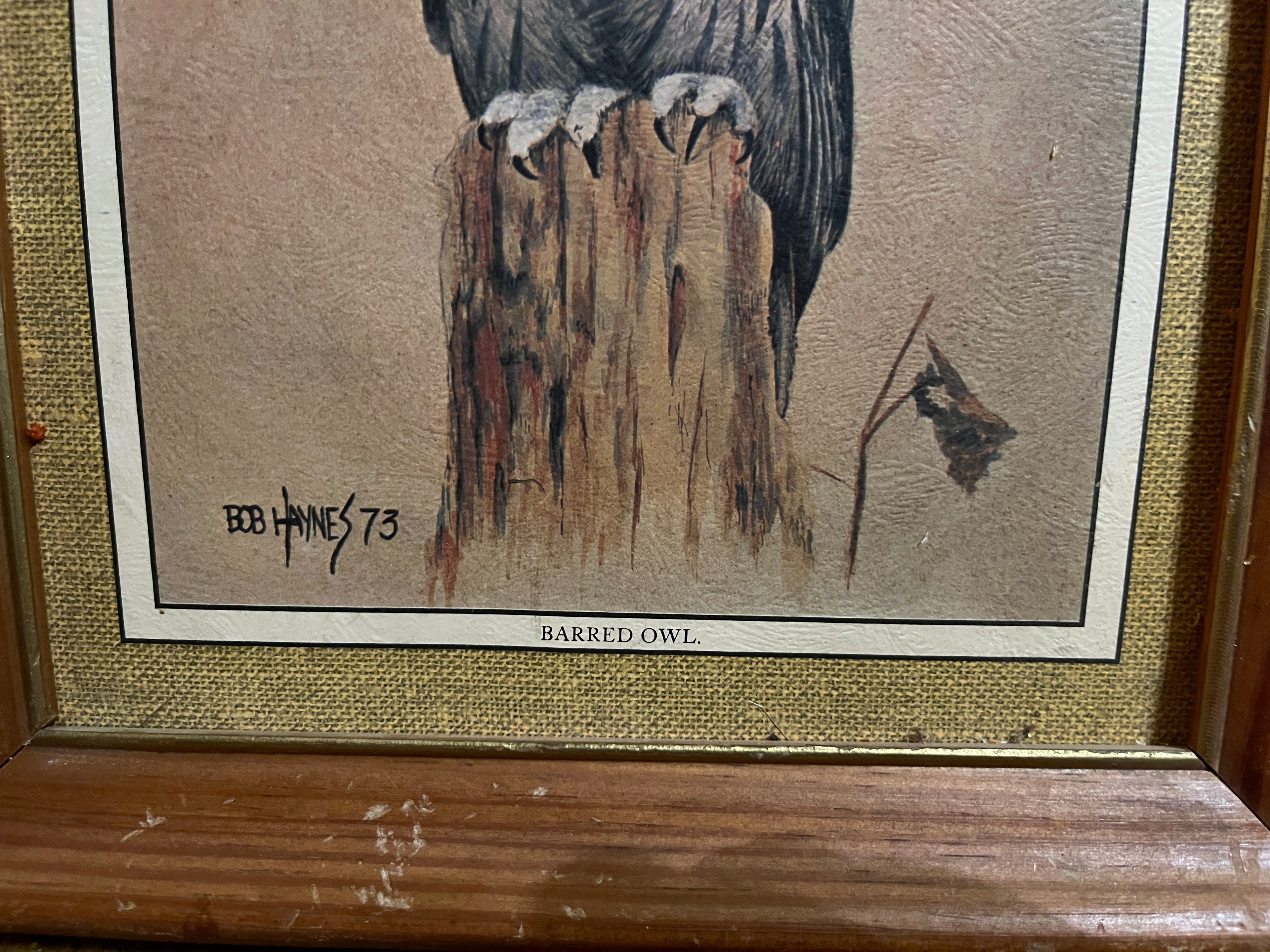 Vintage 1973 Bob Haynes Framed Barred Owl Lithograph Print 12x10 Burlap Mat Hills Tag pf