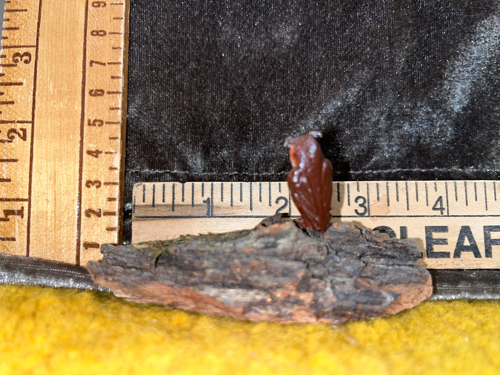 Vintage Miniature Hand-Painted Ceramic Owl on Natural Bark Base Figurine 2x3 inches pf